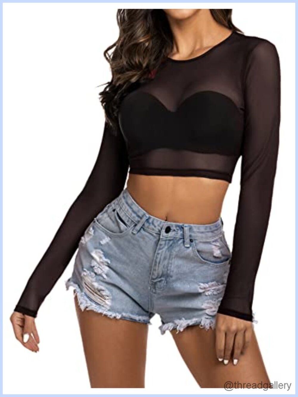 Sheer Mesh Long Sleeve Crop Top